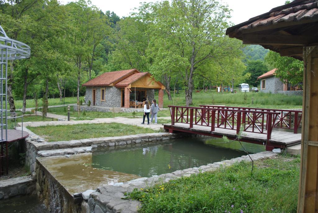 Hôtel Talistan Forest Park Extérieur photo