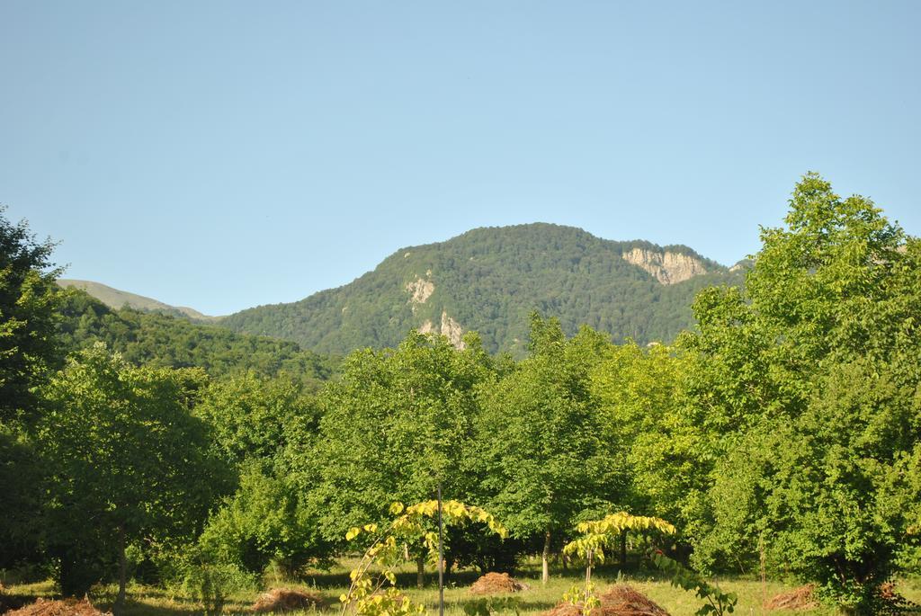 Hôtel Talistan Forest Park Extérieur photo