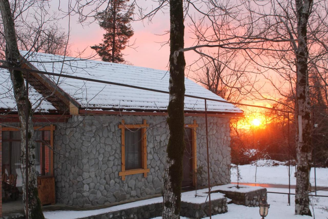 Hôtel Talistan Forest Park Extérieur photo