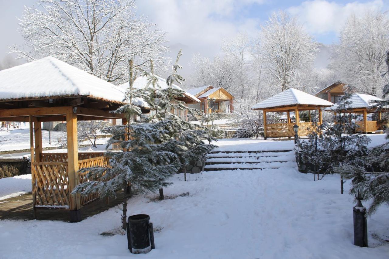 Hôtel Talistan Forest Park Extérieur photo