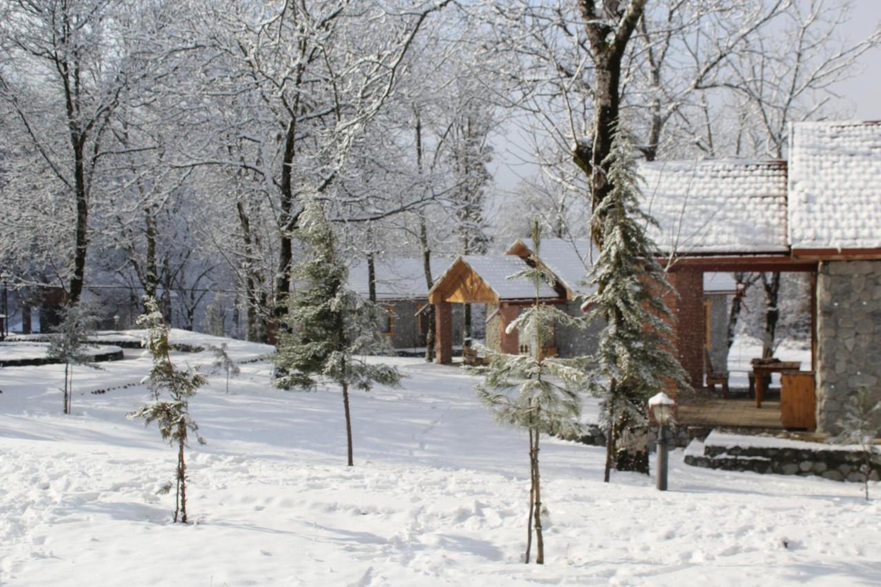 Hôtel Talistan Forest Park Extérieur photo