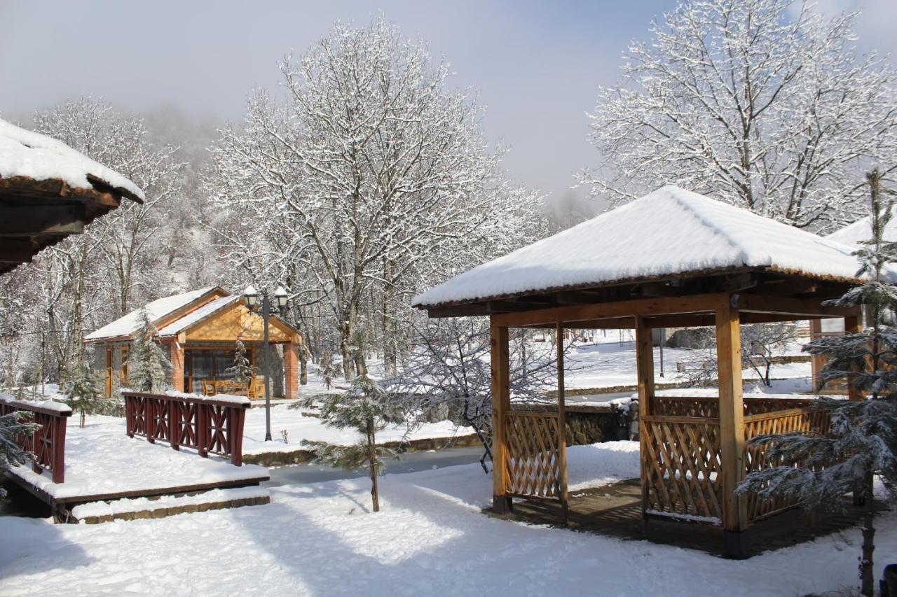 Hôtel Talistan Forest Park Extérieur photo